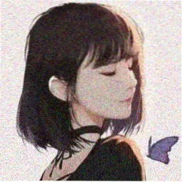 用户苏禾头像